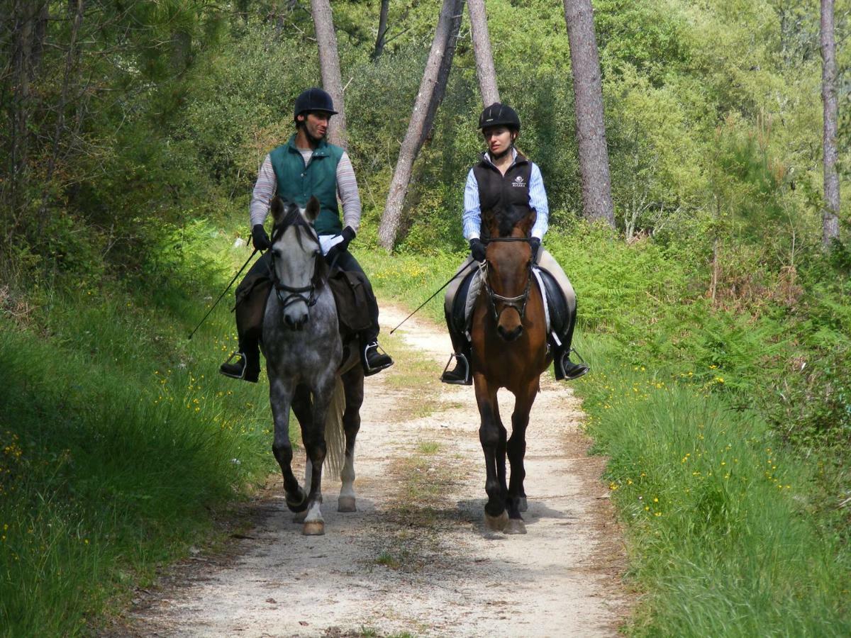 Villas De Aire Country Houses Mira  Bagian luar foto