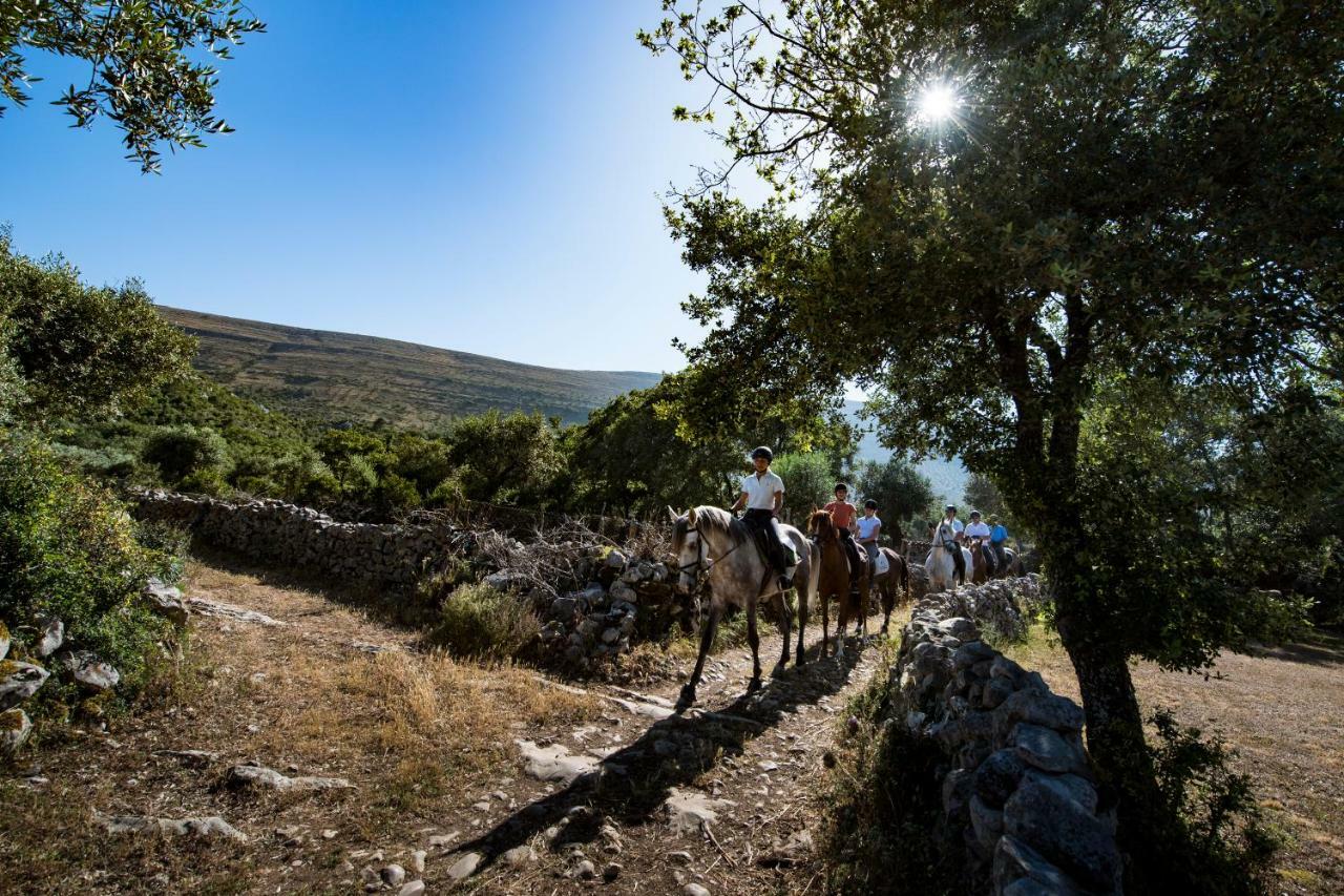 Villas De Aire Country Houses Mira  Bagian luar foto